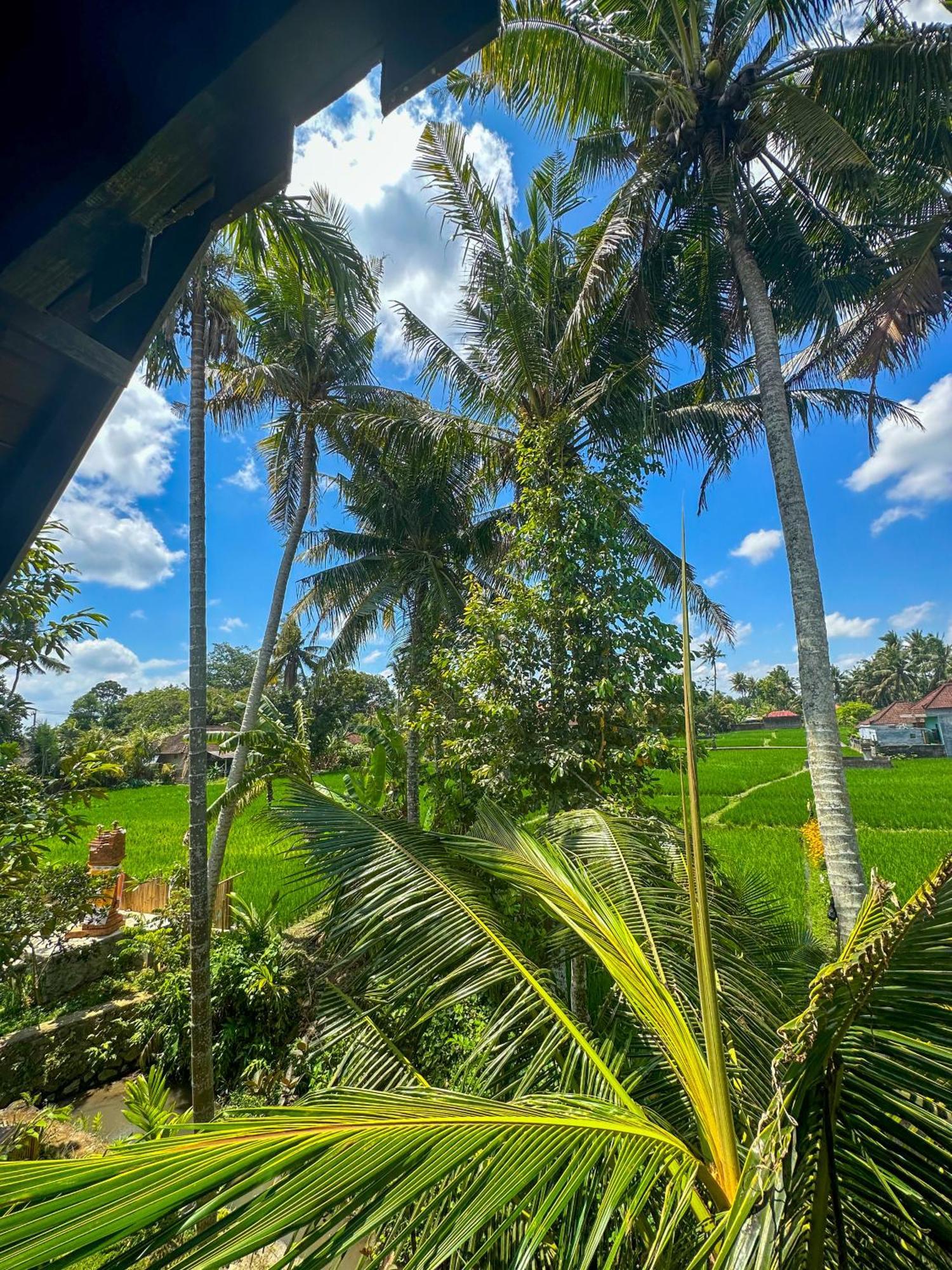 Hotel Nunu Bali Eco Friendly Retreat Canggu Zewnętrze zdjęcie