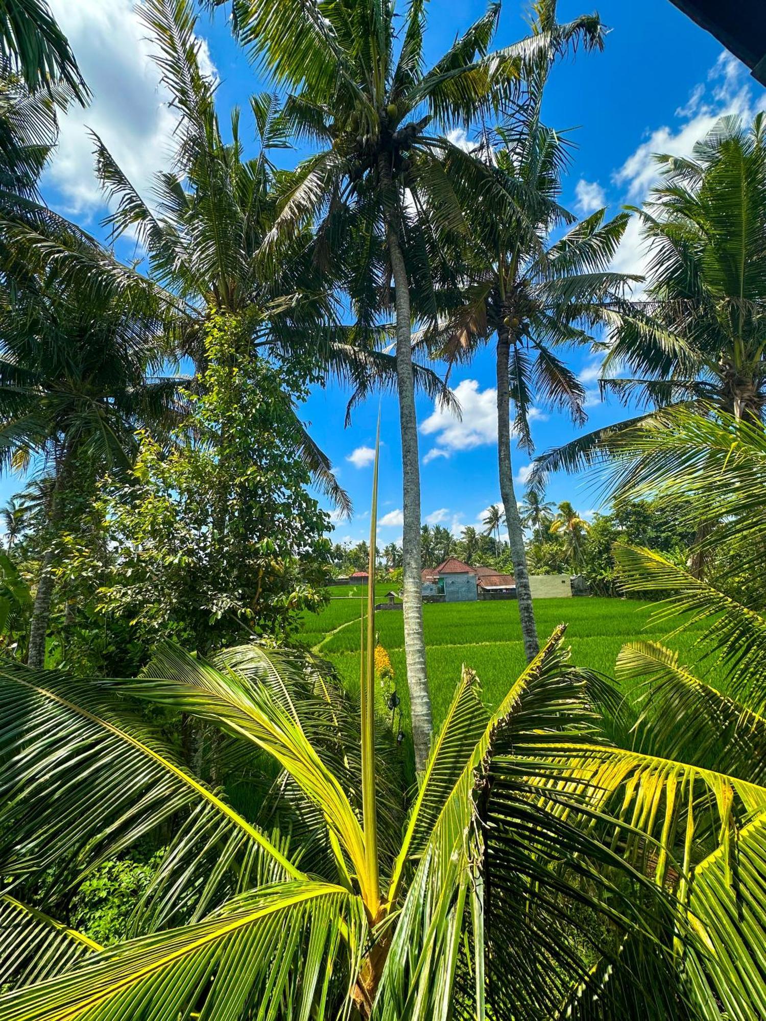 Hotel Nunu Bali Eco Friendly Retreat Canggu Zewnętrze zdjęcie