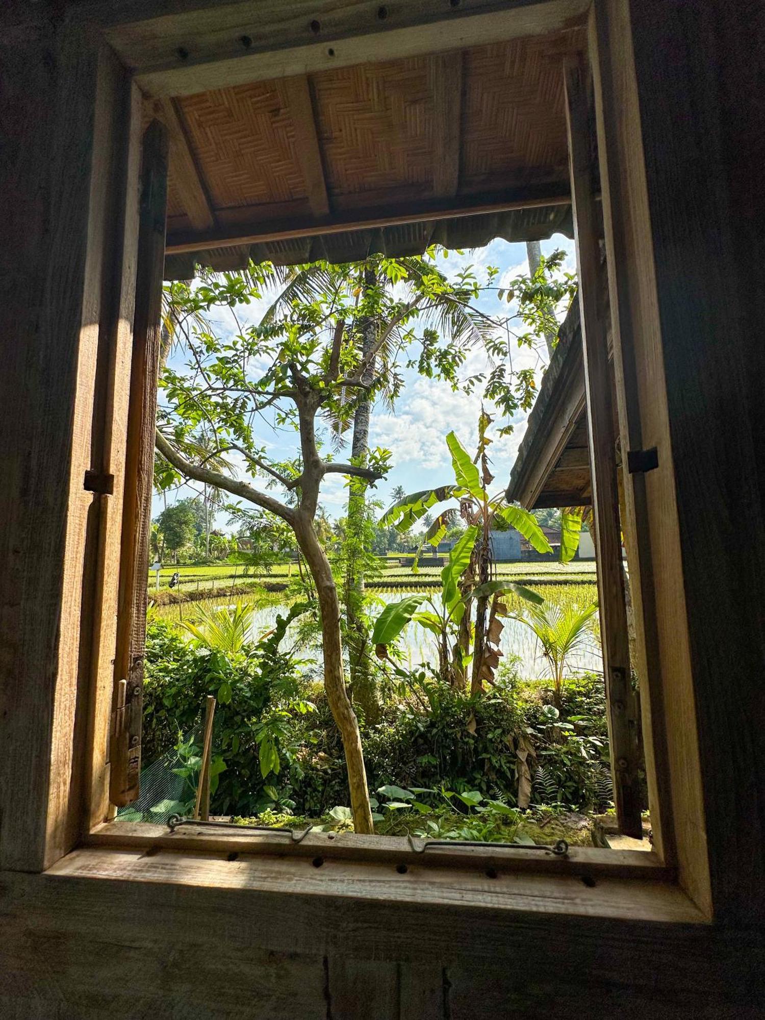 Hotel Nunu Bali Eco Friendly Retreat Canggu Zewnętrze zdjęcie