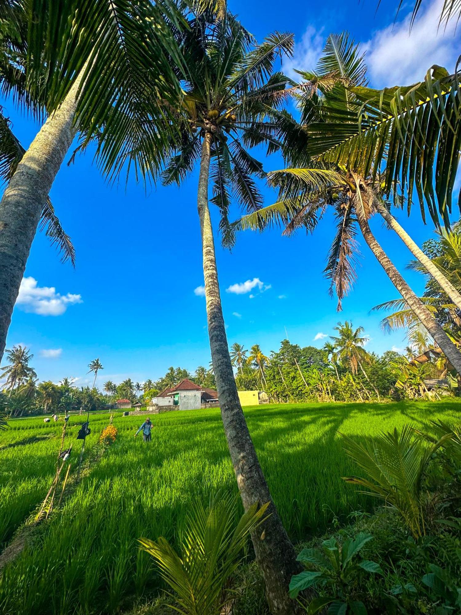 Hotel Nunu Bali Eco Friendly Retreat Canggu Zewnętrze zdjęcie