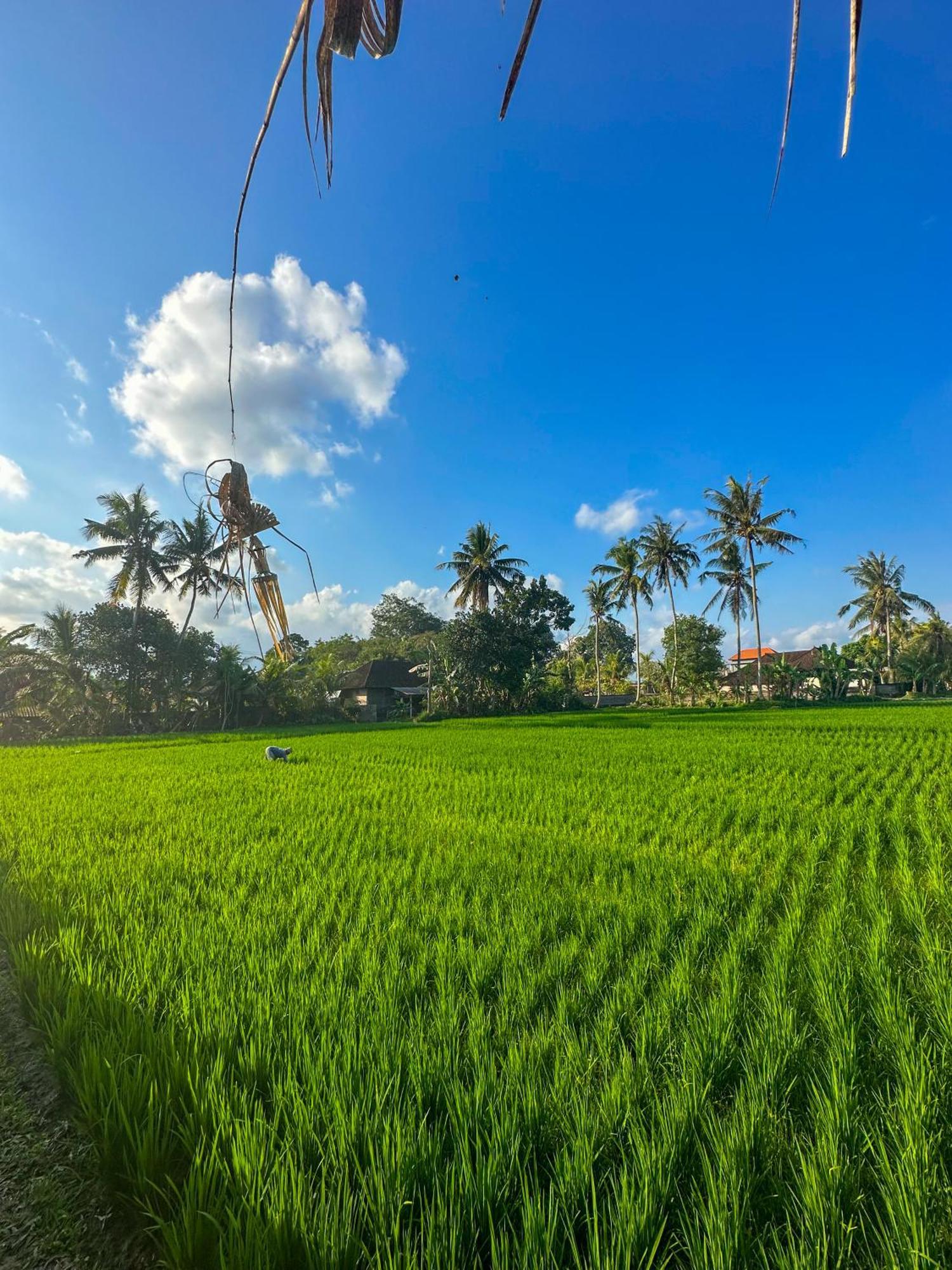 Hotel Nunu Bali Eco Friendly Retreat Canggu Zewnętrze zdjęcie